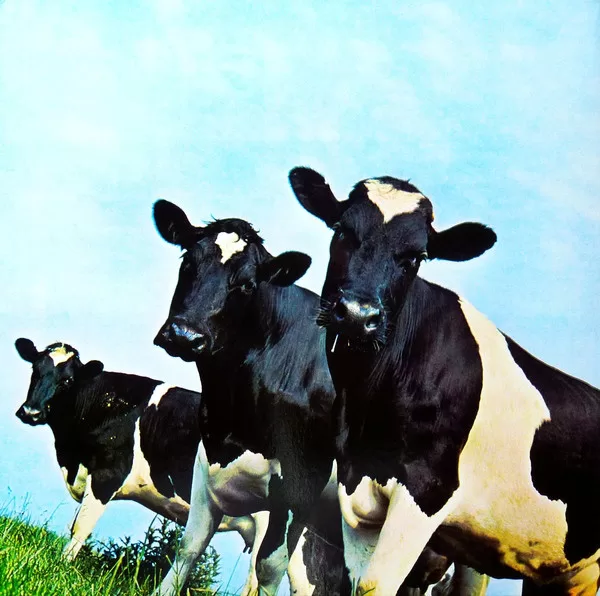 Pink Floyd - Atom Heart Mother - 190295997083 - CBF - New Release English LP Vinyl Pink Floyd - Atom Heart Mother - 190295997083 - CBF - New Release English LP Vinyl