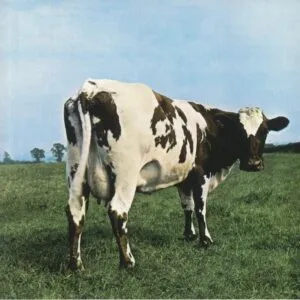 Pink Floyd - Atom Heart Mother - 888751 84221 – Gatefold - LP Record