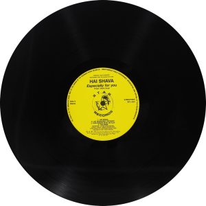 Malkit Singh - Hai Shava - S/SRLP 5095 - Punjabi Folk LP Vinyl Record-2
