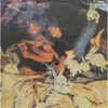Rabbitt - Boys Will Be Boys - 2429 148 - (70-75%) - English LP Vinyl
