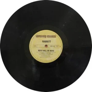 Rabbitt - Boys Will Be Boys - 2429 148 - (70-75%) - English LP Vinyl
