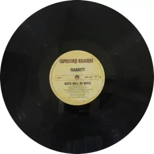 Rabbitt - Boys Will Be Boys - 2429 148 - (70-75%) - English LP Vinyl
