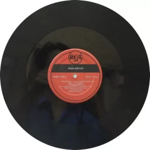 Rick Astley - 8696 1 RD - (85-90%) - English Songs LP Vinyl Record
