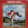 Shehzada – D/LMOE 1004 - (Condition 85-90%) - Bollywood Super 7