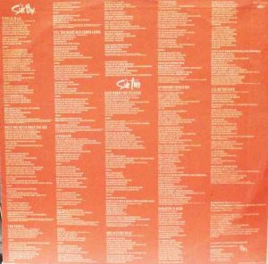 Tina Turner - Break Every Rule - PJ 12530 - English LP Vinyl Record - 1