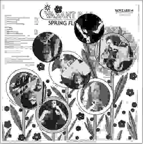 Vasant Rai - Spring Flowers - VSD 79379 - Reprinted LP Cover Only