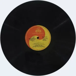 Paadaatha Theneekkal - Ilaiyaraaja - 8000 716 - (Condition 90-95%) - Cover Reprinted - LP Record