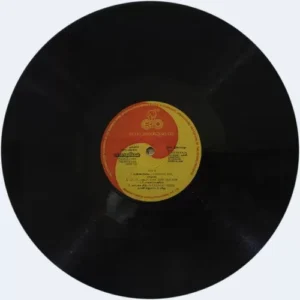Paadaatha Theneekkal - Ilaiyaraaja - 8000 716 - (Condition 90-95%) - Cover Reprinted - LP Record