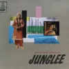 Junglee - 3AEX 5313 - (80-85%) - Bollywood LP Vinyl Record