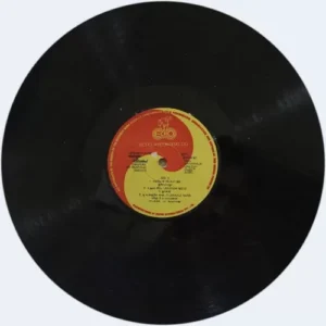 Ennarukil Nee Irunthaal - Illayaraaja - 8000 836 - (Condition – 90-95%) – Cover Reprinted - LP Record