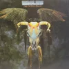 Eagles - One Of These Nights - 7E 1039 - (Condition - 85-90%) - Cover Reprinted -  English LP Vinyl Record