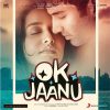 Ok Jaanu - 8907011105941 – New Release Hindi LP Vinyl Record