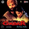 Gadar – VS34ZEE0019 – Red Coloured - New Release Hindi LP Vinyl Record