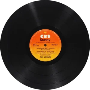 Sunny - IND 1073 - (Condition 85-90%) - LP Record