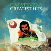 Cat Stevens - Greatest Hits - ILPS 9310 - (Condition - 90-95%) - Cover Reprinted -  English LP Vinyl Record