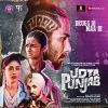 Udta Punjab – VS34ZEE0022