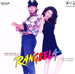 Rangeela - New Release Hindi LP Vinyl Record