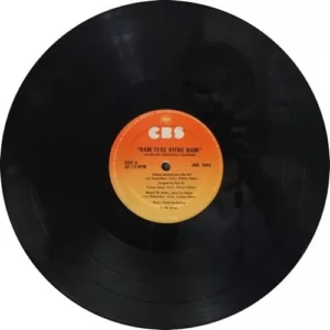 Ram Tere Kitne Nam - IND 1069 - (80-85%) - Bollywood Rare LP Vinyl