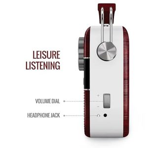 Saregama Carvaan Hindi - Portable Music Player with 5000 Preloaded Songs, FM/BT/AUX (Cherrywood Red)