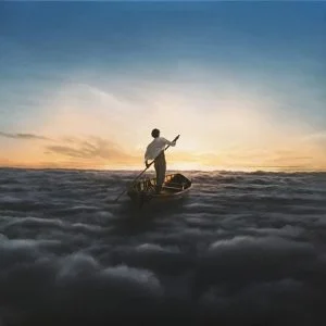 Pink Floyd – The Endless River - 825646215478 – 2LP Set - New Release English LP Vinyl Record