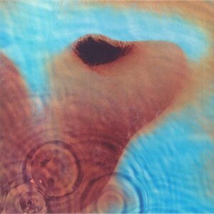 Pink Floyd: Meddle (Remastered) - 888751 84231 - New Release English LP Vinyl Record