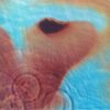 Pink Floyd: Meddle (Remastered) - PFRLP 6 - New Release English LP Vinyl Record