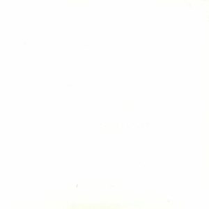 The Beatles: White Album (Anniversary Edition) (reissue) - 676968 6 - New Release English LP Vinyl Record