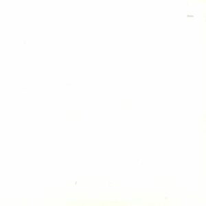 The Beatles: White Album (Anniversary Edition) (reissue) - 676968 6 - New Release English LP Vinyl Record