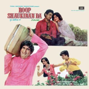Punjabi film songs Vinyls 12″ Used
