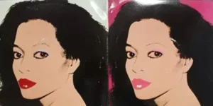 Diana Ross - Diana Ross Silk Electric - AFL1 4384 - (85-90%) - CBF - English Song LP Vinyl Record