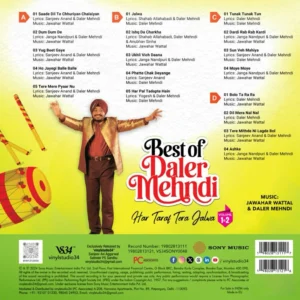 Best of Daler Mehndi Vol. 1&2 - VS34SONY0048 - 2LP Set - New Release LP Vinyl Record
