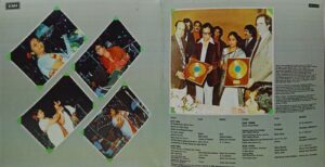 Asha Bhosle Live At Royal - PEASD 2019/2020 - (85-90%) - CR - 2LP Set - Film Hits LP Vinyl