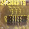 Usha Uthup (24 Carats) - 4416 5177 - (80-85%) - Private Songs LP Vinyl Record