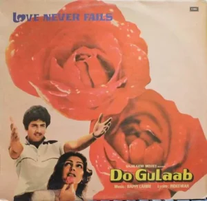 Do Gulaab - ECLP 5880 - (75-80%) - Bollywood LP Vinyl