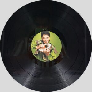 Gurdas Maan - Panjiri - CR - Punjabi Folk LP Vinyl