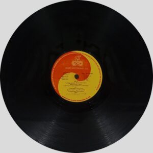 Ilaiyaraaja - Pudhuppaattu - 8000 814 - (85-90%) - CR - Tamil LP Vinyl