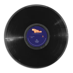 Kaadhal Oviyam - 19802959871 - New Release LP Vinyl Record