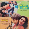 Padosi Ki Biwi & Cheekh - PMLP 1047 - (90-95%) - Bollywood LP Vinyl