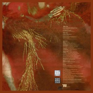 The Mike Theodore Orchestra - WT 6109 - (Condition 80-85%) - Cover Reprinted – English Vinyl LP Record