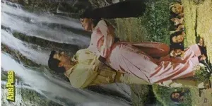 Aas Paas - PEALP 2036 - (85-90%) - Cover Reprinted - CBF - Bollywood LP Vinyl 2