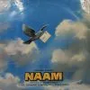 Naam - PMLP 1129 - (Condition 85-90%) - Bollywood LP Vinyl Record