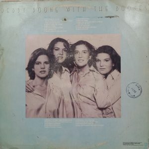 Debby Boone – You Light Up My Life - BS 3118 - (90-95%) - English LP Vinyl Record