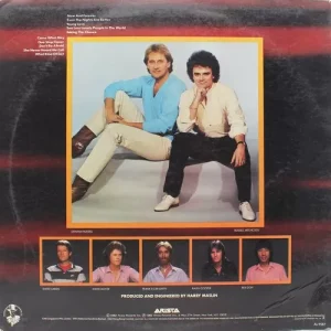 Air Supply – Now And Forever - AL 9587 - English LP Vinyl Record