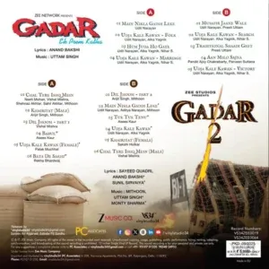 Gadar 1 And 2 Como - VS34ZEE0019/VS34ZEE0064 - New Release Hindi LP Vinyl Record