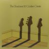 The Shadows 20 Golden Greats- EMTV 3 - CR - English LP Vinyl Record