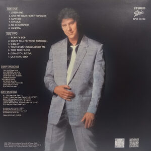Shakin Stevens - Give Me Your Heart Tonight - EPIC 10124 - (90-95%) - Cover Reprinted - English LP Vinyl