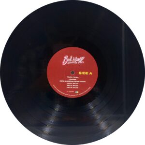 Bad Newz & Stree - RC0116 - New Release Hindi LP Vinyl Record