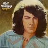 Neil Diamond - Rainbow - MCA 2103 - (80-85%) - CR - English Songs LP Vinyl Record
