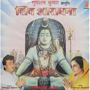 Anuradha Paudwal - Shiv Aaradhana - SHNLP 01/22 - Special Deal LP Vinyl