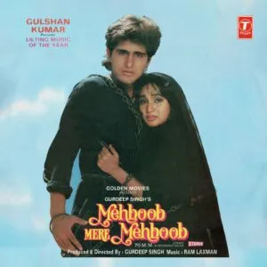 Mehboob Mere Mehboob - SHFLP 1/1482 - Cover Reprinted - Special Deal LP Vinyl Record
